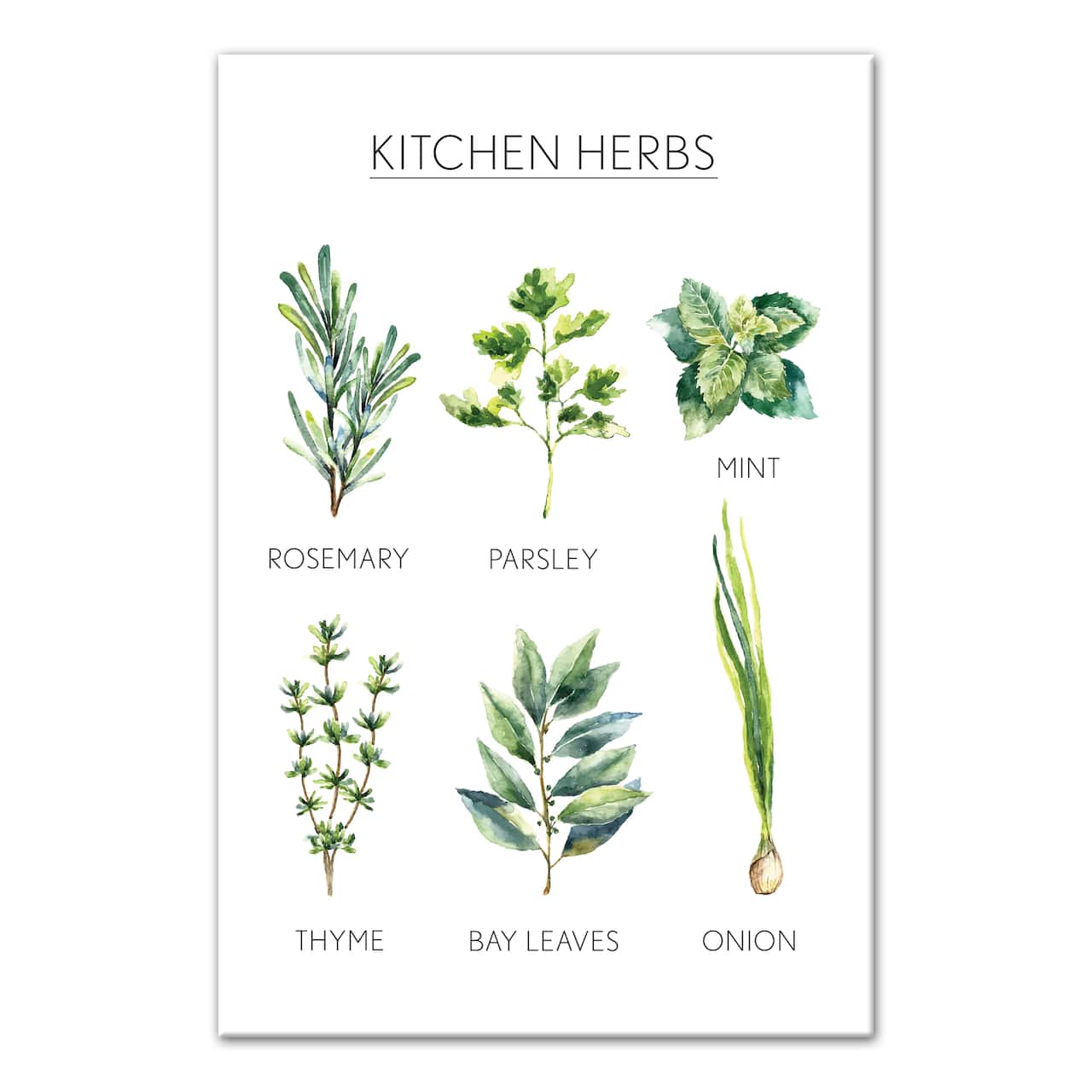Watercolor Kitchen Herbs Handwritten Canvas Wall Art